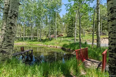 9030 Rex Lane, Conifer, CO 80433 - Photo 3