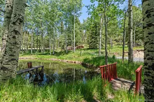9030 Rex Ln, Conifer, CO 80433 - Photo 3