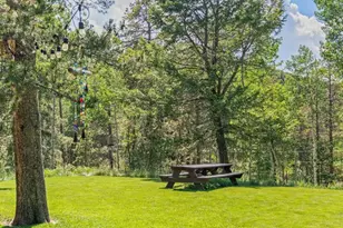 9030 Rex Ln, Conifer, CO 80433 - Photo 7