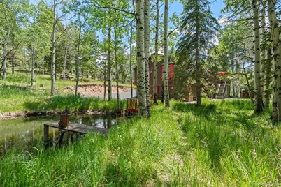 9030 Rex Lane, Conifer, CO 80433 - Photo 35