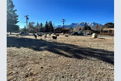 513 Gold Street, Buena Vista, CO 81211 - Photo 3