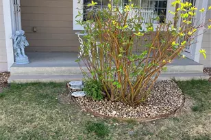 9168 W 50th Ln, Arvada, CO 80002 - Photo 15