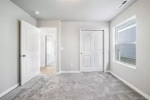 786 N Carrie Ct, Watkins, CO 80137 - Photo 13