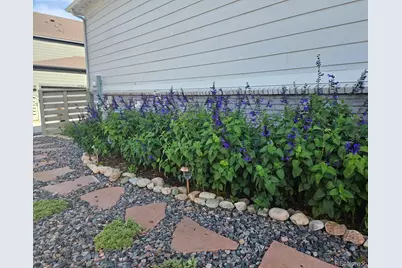 9793 Banner Peak Loop, Littleton, CO 80125 - Photo 41