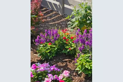 9793 Banner Peak Loop, Littleton, CO 80125 - Photo 37