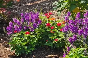 9793 Banner Peak Loop, Littleton, CO 80125 - Photo 37