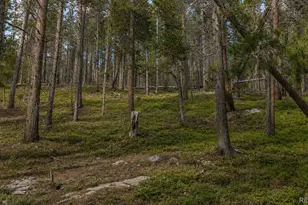 000 Steuart Rd, Idaho Springs, CO 80452 - Photo 1