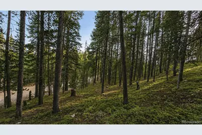 000 Steuart Road, Idaho Springs, CO 80452 - Photo 7