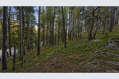 000 Steuart Road, Idaho Springs, CO 80452 - Photo 9