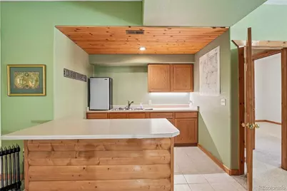 491 Aspen Lane, Black Hawk, CO 80422 - Photo 35