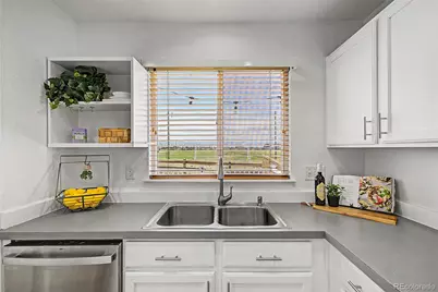 9917 Aftonwood Street, Highlands Ranch, CO 80126 - Photo 17
