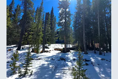 211 Pine Ridge Road, Alma, CO 80420 - Photo 39