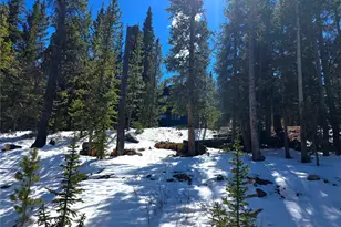 211 Pine Ridge Rd, Alma, CO 80420 - Photo 39