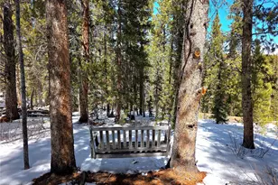 211 Pine Ridge Rd, Alma, CO 80420 - Photo 37