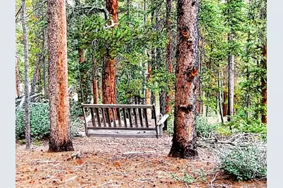 211 Pine Ridge Road, Alma, CO 80420 - Photo 5