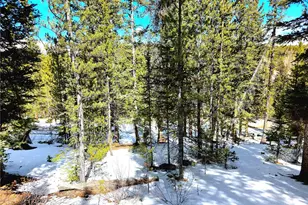 211 Pine Ridge Rd, Alma, CO 80420 - Photo 35