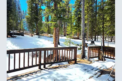 211 Pine Ridge Road, Alma, CO 80420 - Photo 25