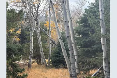 2663 Petito Drive, Fort Garland, CO 81133 - Photo 13