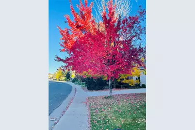 16866 E Peakview Avenue, Aurora, CO 80016 - Photo 27