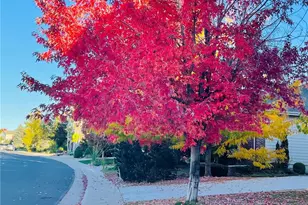 16866 E Peakview Ave, Aurora, CO 80016 - Photo 27