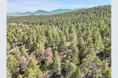 Molly Dr, Lot #1, Conifer, CO 80433 - Photo 31