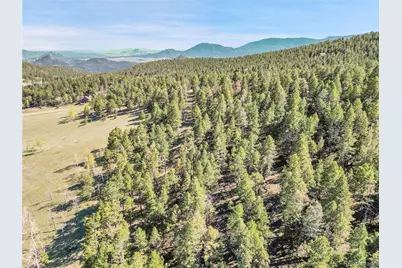 Molly Dr, Lot #1, Conifer, CO 80433 - Photo 29