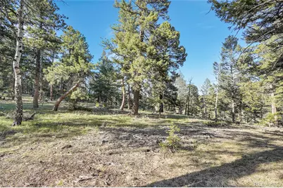Molly Dr, Lot #1, Conifer, CO 80433 - Photo 3