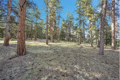 Molly Dr, Lot #1, Conifer, CO 80433 - Photo 7