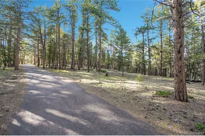 Molly Dr, Lot #1, Conifer, CO 80433 - Photo 9
