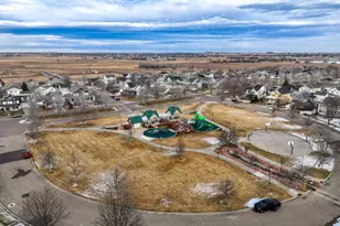 1127 Fairfield Ave, Windsor, CO 80550 - Photo 39