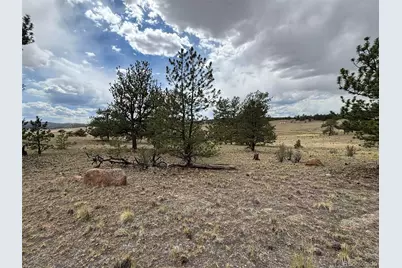 99 Arapaho Court, Hartsel, CO 80449 - Photo 7