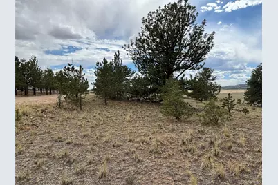 99 Arapaho Court, Hartsel, CO 80449 - Photo 19