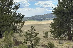 99 Arapaho Ct, Hartsel, CO 80449 - Photo 1
