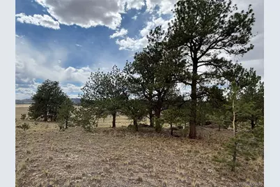 99 Arapaho Court, Hartsel, CO 80449 - Photo 9