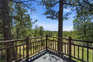 2321 Burning Ridge Dr, Franktown, CO 80116 - Photo 25