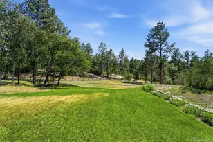 2321 Burning Ridge Dr, Franktown, CO 80116 - Photo 45