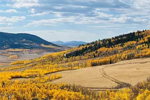 2861 High Creek Rd, Fairplay, CO 80440 - Photo 35