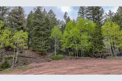 918 Pinon Lane, Florissant, CO 80816 - Photo 1