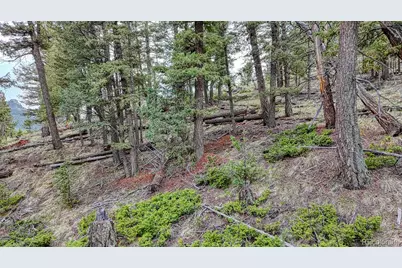 918 Pinon Lane, Florissant, CO 80816 - Photo 11