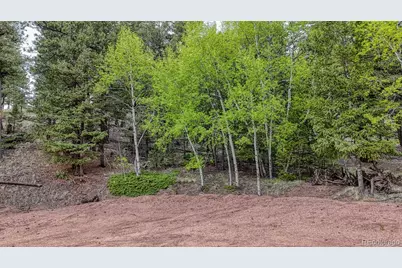 918 Pinon Lane, Florissant, CO 80816 - Photo 3