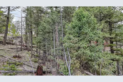 918 Pinon Lane, Florissant, CO 80816 - Photo 9