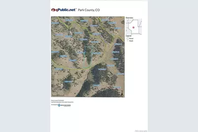 243 June Lane, Hartsel, CO 80449 - Photo 23