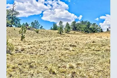 243 June Lane, Hartsel, CO 80449 - Photo 5