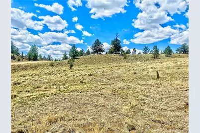 243 June Lane, Hartsel, CO 80449 - Photo 15