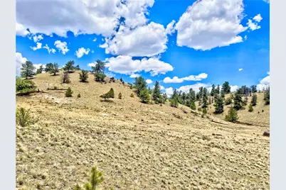 243 June Lane, Hartsel, CO 80449 - Photo 9