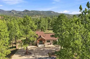 13694 Drake Ct, Pine, CO 80470 - Photo 27
