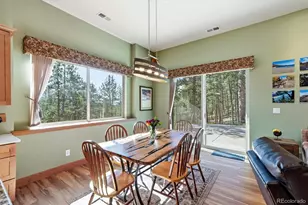 13694 Drake Ct, Pine, CO 80470 - Photo 9