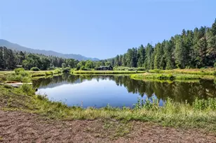 9899 Overlook Rd, Sedalia, CO 80135 - Photo 19