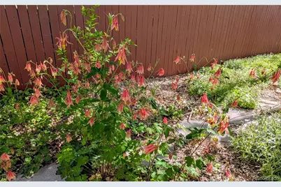 10645 Nucla Street, Commerce City, CO 80022 - Photo 29