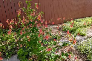 10645 Nucla St, Commerce City, CO 80022 - Photo 29